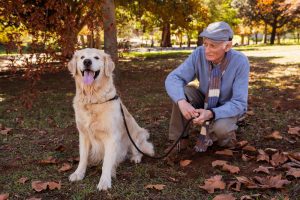 pet therapy in aged care